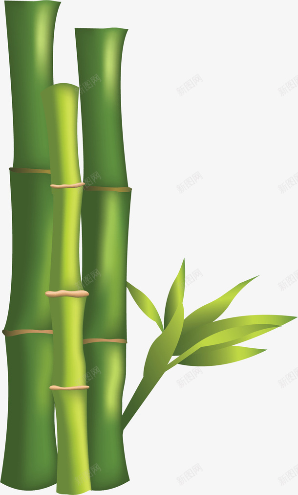 美容院植物绿色竹林矢量图ai免抠素材_新图网 https://ixintu.com 植物 植物竹林 矢量png 竹林 绿色竹林 美容院 矢量图