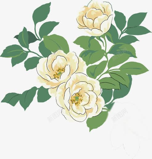手绘白花时尚插画png免抠素材_新图网 https://ixintu.com 插画 时尚 白花