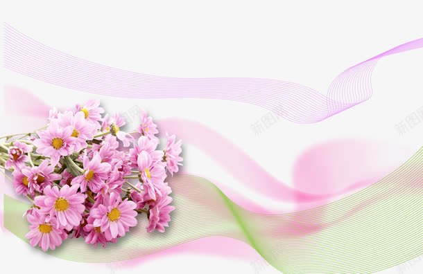 雏菊png免抠素材_新图网 https://ixintu.com 紫色 花束 雏菊 飘带