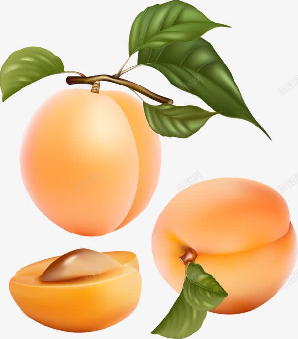 鲜嫩水蜜桃png免抠素材_新图网 https://ixintu.com 手绘 桃子 水蜜桃 甜甜的