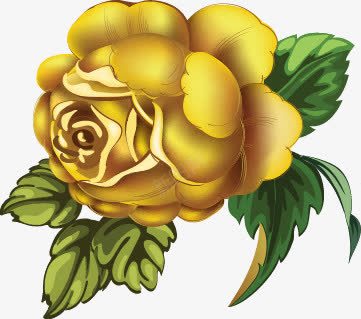 精美欧式装饰花卉png免抠素材_新图网 https://ixintu.com 欧式装饰花 精美花卉 花朵