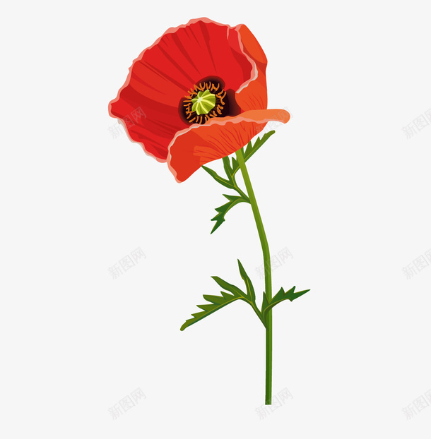罂粟花的矢量图ai免抠素材_新图网 https://ixintu.com 矢量花朵 红色的罂粟花 罂粟花 花朵 矢量图