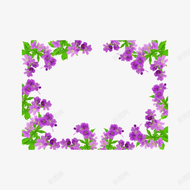 牵牛花装饰边框png免抠素材_新图网 https://ixintu.com 紫色 花朵 装饰边框