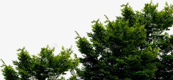 小区景观美景效果png免抠素材_新图网 https://ixintu.com 小区 效果 景观 美景