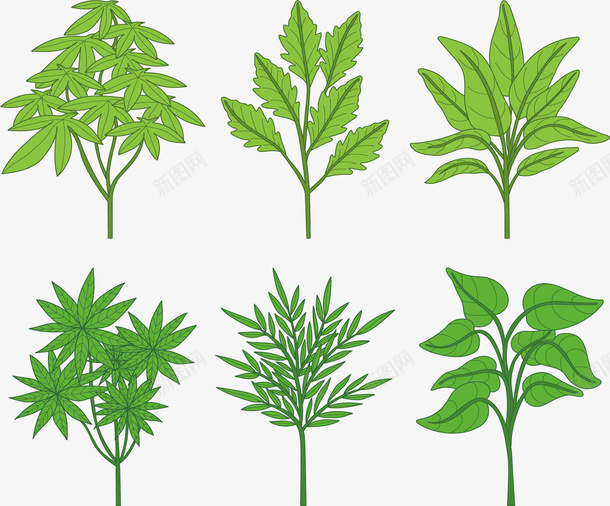 春天生长的绿叶植物矢量图eps免抠素材_新图网 https://ixintu.com 春叶 春天的植物 春草 矢量素材 绿叶植物 矢量图