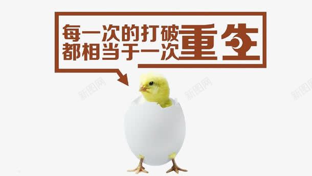 破壳而出励志图png免抠素材_新图网 https://ixintu.com 励志图 小鸡破壳 破壳而出 重生