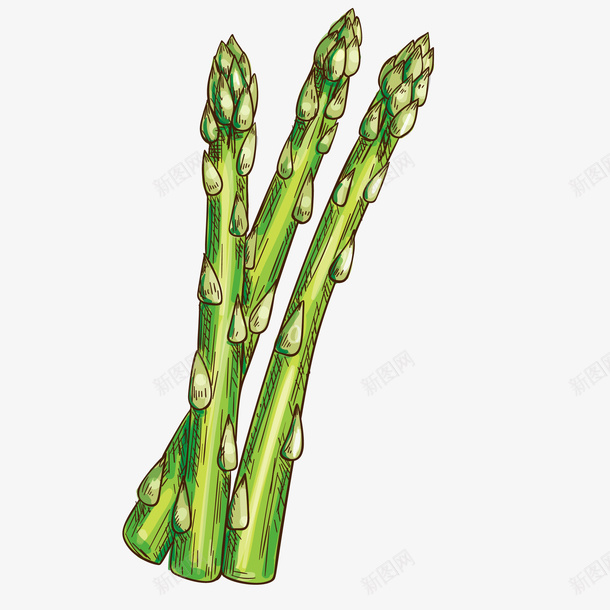 卡通美食装饰插画蒜薹png免抠素材_新图网 https://ixintu.com 吃货 海报设计 简约卡通美食装饰 网页设计 美食插画 美食装饰 蒜薹