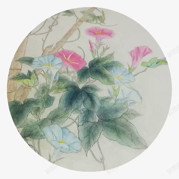 水彩鲜花png免抠素材_新图网 https://ixintu.com 卡通 圆形 手绘 水彩 牵牛花 装饰 鲜花