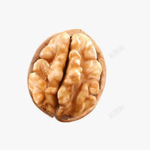 新鲜核桃肉png免抠素材_新图网 https://ixintu.com 农家 农特产 核桃 核桃肉 特产