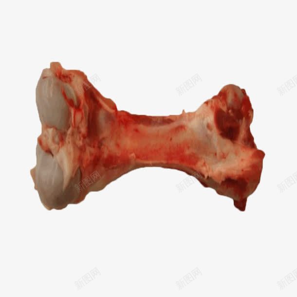 产品实物猪筒骨png免抠素材_新图网 https://ixintu.com 产品实物 猪骨头 筒骨 红色 食物