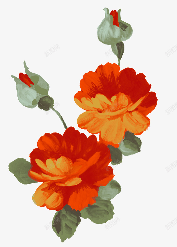 心眼的月季花png免抠素材_新图网 https://ixintu.com png图形 png装饰 手绘 月季 花朵 装饰