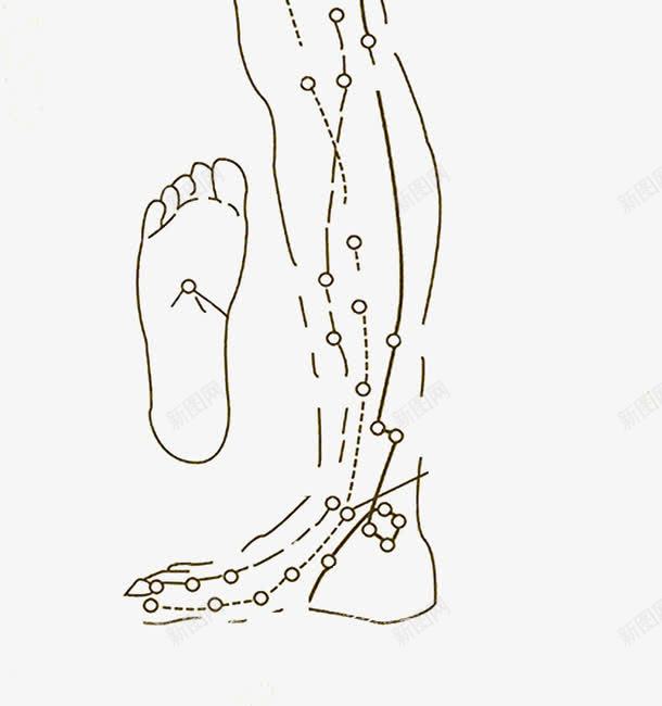 老中医足疗宣传手册png免抠素材_新图网 https://ixintu.com 中医 宣传 宣传手册 手册 老中医