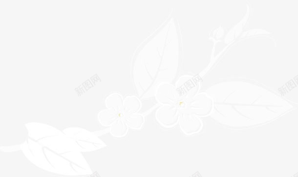 半透明植物图png免抠素材_新图网 https://ixintu.com 半透明植物图 半透明植物矢量图 嫩叶 花