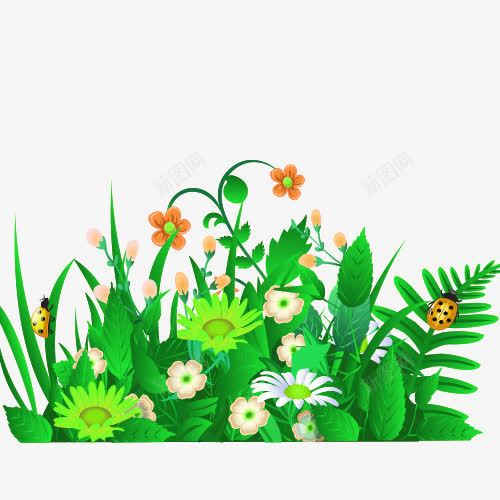 卡通花png免抠素材_新图网 https://ixintu.com 植物 绿色 花菜
