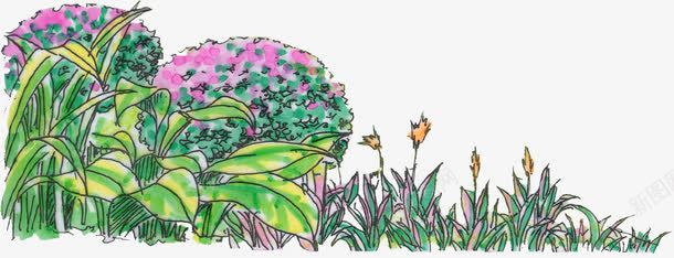 手绘绿化园林景观小草png免抠素材_新图网 https://ixintu.com 园林 景观 绿化