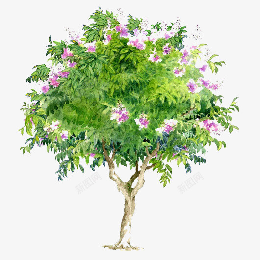 树木背景透明树木png免抠素材_新图网 https://ixintu.com 卡通树木图片 卡通树木图片素材 树木背景 绿色树木素材 透明树木图片素材