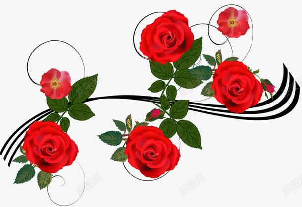 手绘月季花png免抠素材_新图网 https://ixintu.com 月季花 红色 花纹 鲜花
