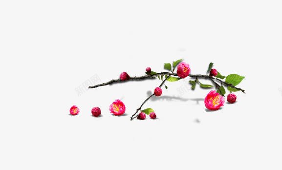 花朵树枝动画含苞待放片png免抠素材_新图网 https://ixintu.com 动画 含苞待放 图片 树枝 花朵