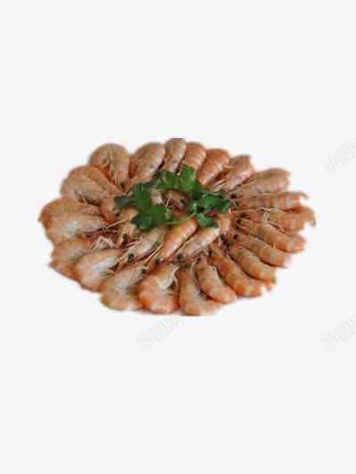 清淡基围虾png免抠素材_新图网 https://ixintu.com 家常菜 盘子 美食 菜肴 虾子 食物
