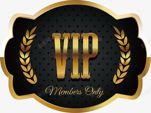 vip卡通png免抠素材_新图网 https://ixintu.com png png素材 vip 加会员 卡通 字体