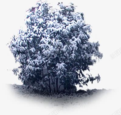 摄影环境渲染效果园林png免抠素材_新图网 https://ixintu.com 园林 摄影 效果 渲染 环境