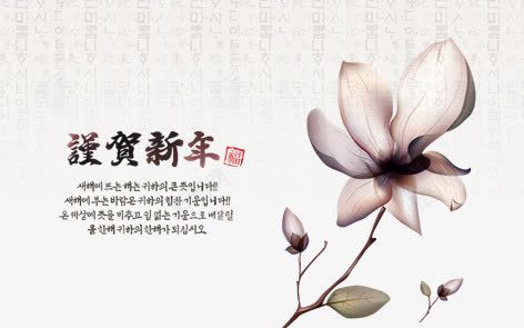 玉兰花贺新年png免抠素材_新图网 https://ixintu.com 新年 毛笔字 水墨 艺术字 花朵 装饰