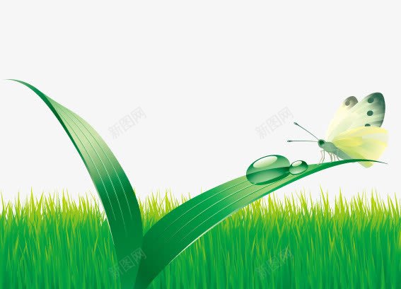绿草自然生物手绘图png免抠素材_新图网 https://ixintu.com 生物手绘图 绿草 绿草自然生物手绘图 自然