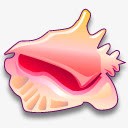 大凤螺图标png_新图网 https://ixintu.com 海螺