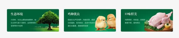 绿色农产品海报png免抠素材_新图网 https://ixintu.com 健康食品 绿色农产品 绿色农产品海报素材 鸡 鸡肉
