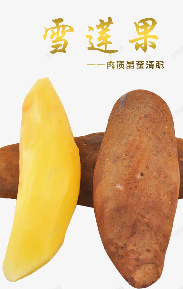雪莲果png免抠素材_新图网 https://ixintu.com 云南天山雪莲果 去皮雪莲果 多汁 新鲜水果 高山
