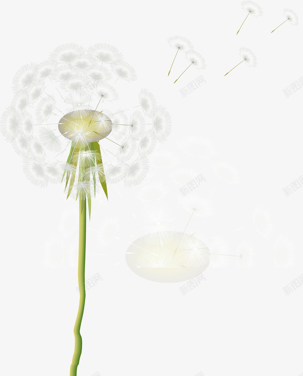 蒲公英8矢量图ai免抠素材_新图网 https://ixintu.com 植物 花 蒲公英 装饰 矢量图