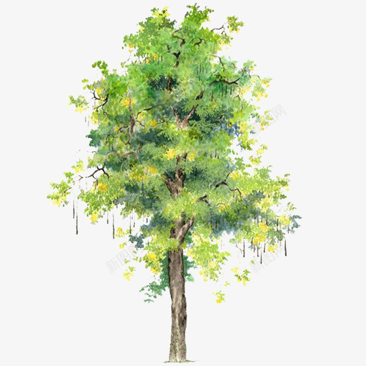 卡通树木树木背景png免抠素材_新图网 https://ixintu.com 卡通树木 卡通树木素材树木背景图片素材免费下载 树木背景 绿色树木图片素材 绿色树木素材 透明树木 透明树木图片素材