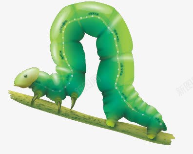 菜青虫png免抠素材_新图网 https://ixintu.com 动物 菜青虫 虫子