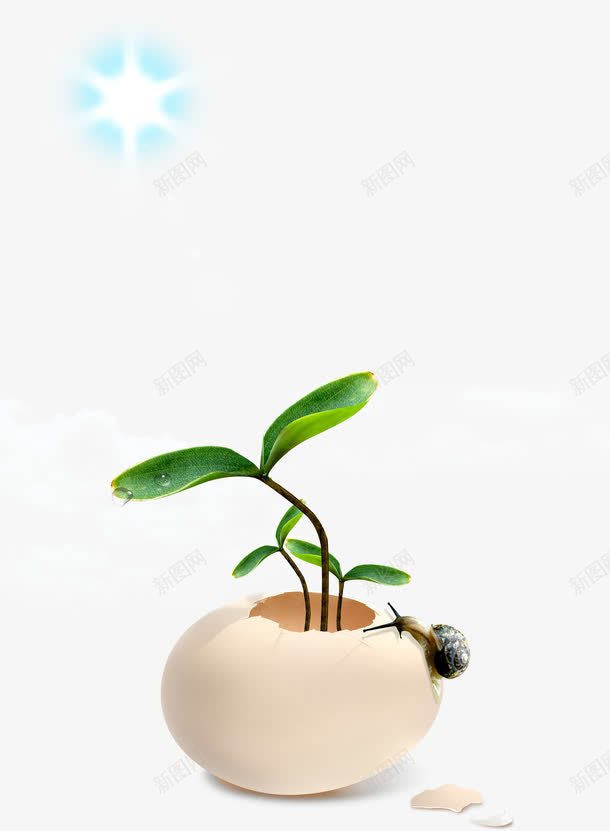 罐中发芽绿苗png免抠素材_新图网 https://ixintu.com 发芽 白瓷罐 绿苗 设计