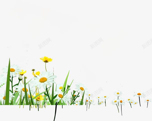 白色唯美艺术花朵草地png免抠素材_新图网 https://ixintu.com 白色 艺术 花朵 草地 设计