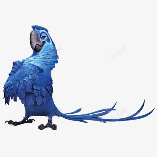 rio2eduardo鹦鹉图标png_新图网 https://ixintu.com eduardo png rio 图标 鹦鹉