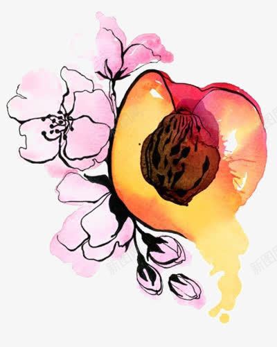 水彩桃子png免抠素材_新图网 https://ixintu.com 卡通 手绘 插画 桃子 桃花 水彩 水果