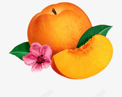 蜜桃png免抠素材_新图网 https://ixintu.com 哈蜜桃 新鲜水果 桃子 水蜜桃 花卉 花朵