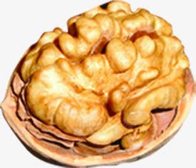 被剥了壳的核桃摄影png免抠素材_新图网 https://ixintu.com 摄影 核桃