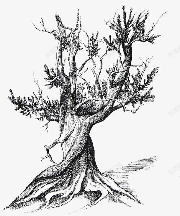 黑白枯树插画png免抠素材_新图网 https://ixintu.com 插画 枯树 简约 黑白