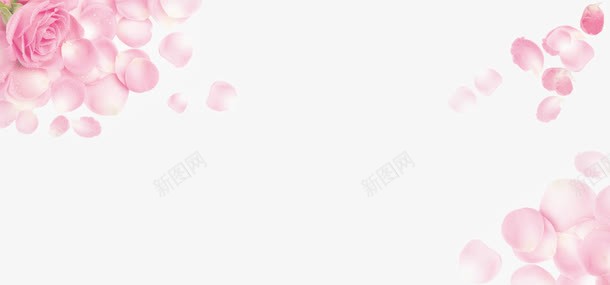 粉色玫瑰png免抠素材_新图网 https://ixintu.com 粉色爱的表达七夕浪漫节