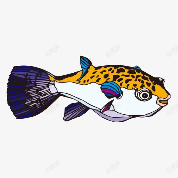 卡通鱼png免抠素材_新图网 https://ixintu.com 卡通鱼 小鱼 彩色鱼 生物 金鱼 鱼儿 鱼类