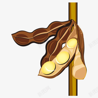 扁平豆类png免抠素材_新图网 https://ixintu.com 扁平 绿色食品 豆类