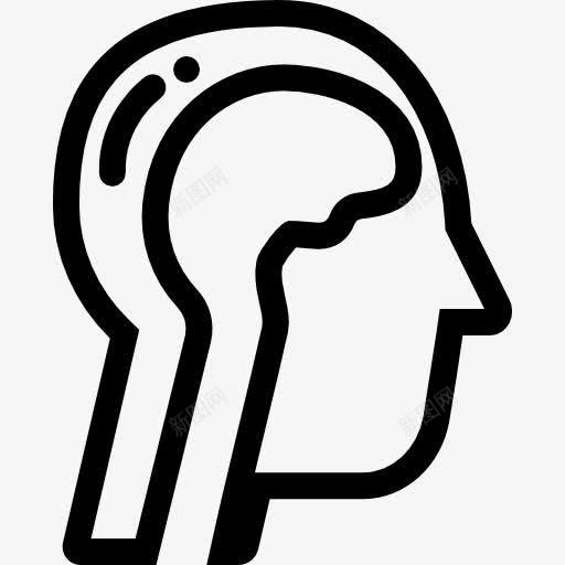 人类的大脑图标png_新图网 https://ixintu.com 医学 头部 生物学 解剖 身体的一部分