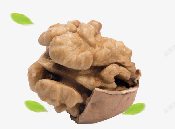 剥皮的鲜核桃png免抠素材_新图网 https://ixintu.com 剥皮核桃 核桃肉 现剥核桃 纸皮核桃 鲜嫩核桃 鲜核桃