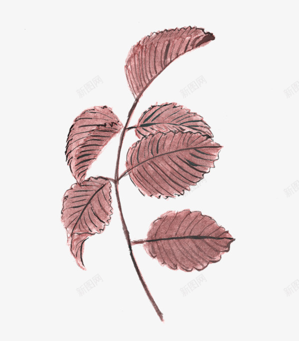 手绘墨画墨红色树叶png免抠素材_新图网 https://ixintu.com 卡通手绘 叶子 水墨画 红色树叶