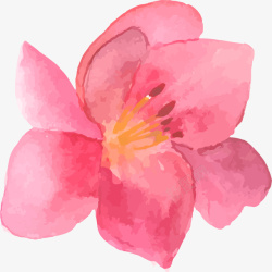 水彩清新粉色花朵素材