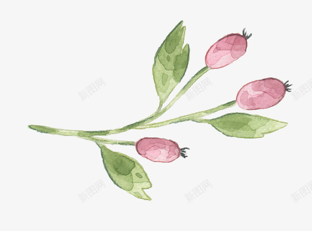 花骨朵和树叶png免抠素材_新图网 https://ixintu.com PNG图形 PNG装饰 手绘 树叶 植物 花骨朵 装饰