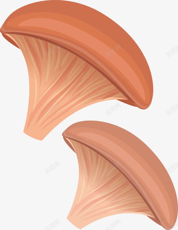 卡通蘑菇片png免抠素材_新图网 https://ixintu.com 卡通 菌菇 菌菇干货 菌菇拼盘 菌菇汤 野生菌菇 食材
