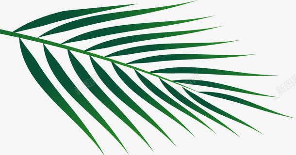 植物海报风景树叶png免抠素材_新图网 https://ixintu.com 树叶 植物 海报 风景